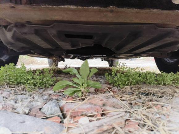 [宁波·浙B] 二手九龙九龙A42014款 2.5T经济版SC25R