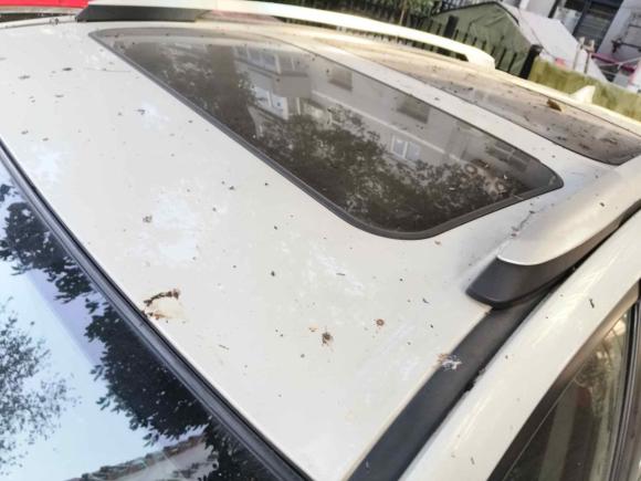 [西安·陕A] 二手丰田RAV4荣放2015款 2.5L 自动四驱精英版