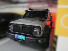 [上海·沪B] 坦克坦克3002022款 2.0T 坦克游侠