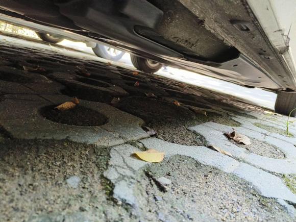 [合肥·皖A] 二手大众Polo2019款 Plus 1.5L 自动全景乐享版