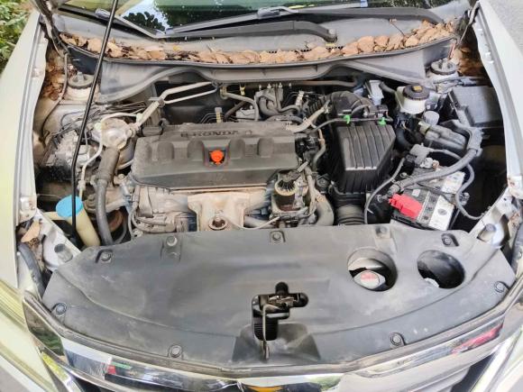 [苏州·闽A] 二手本田凌派2013款 1.8L 手动舒适版