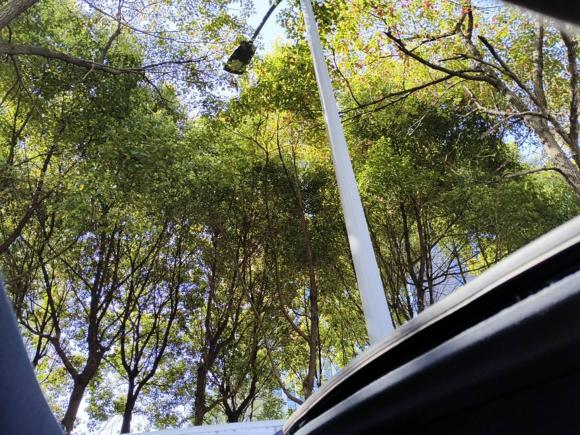 [上海·沪N] 二手丰田雷凌2022款 185T CVT豪华版