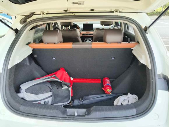 [合肥·皖A] 二手比亚迪比亚迪e22021款 豪华型