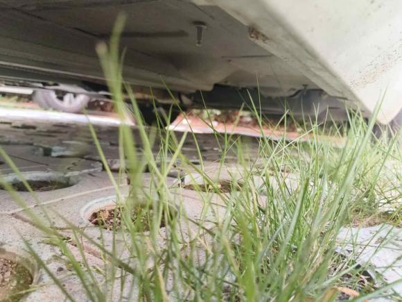 [济南·鲁A] 二手DSDS 52014款 1.6T 豪华版THP160