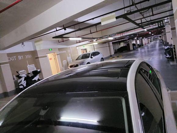 [南京·苏A] 二手斯柯达明锐2020款 TSI230 DSG智行豪华版