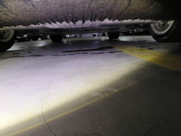 [上海·沪A] 二手特斯拉Model Y2021款 长续航全轮驱动版