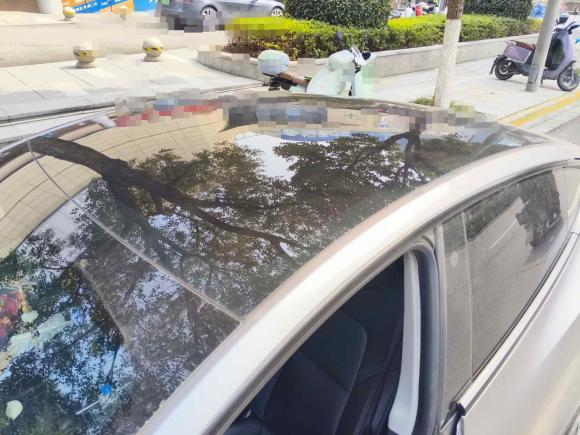 [宁波·浙B] 二手特斯拉Model Y2021款 标准续航后驱版