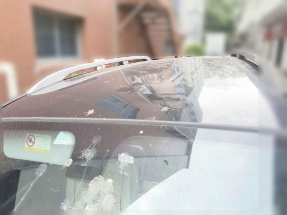 [南京·苏A] 二手哈弗哈弗H5经典2016款 经典版 2.0T 手动两驱精英型