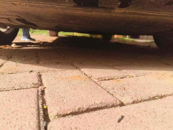 [南昌·赣A] 二手奥迪奥迪A6L2018款 35 TFSI 典藏版