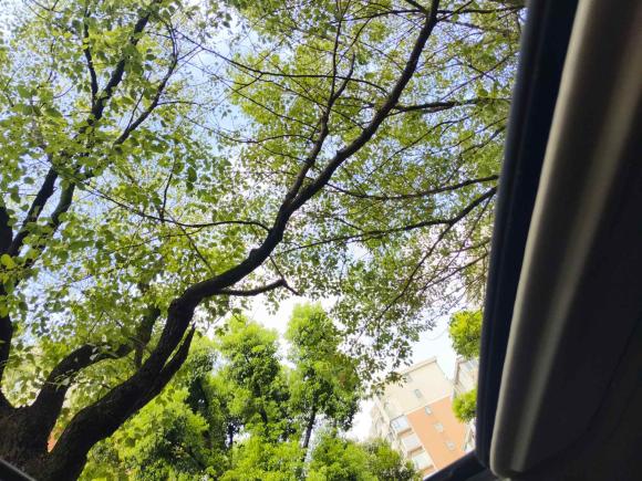 [上海·鄂E] 二手三菱欧蓝德2018款 2.0L 两驱荣耀版 5座