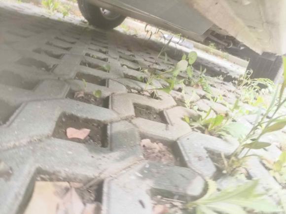 [上海·皖J] 二手宝骏宝骏3602019款 改款 1.5L 手动精英型 国VI