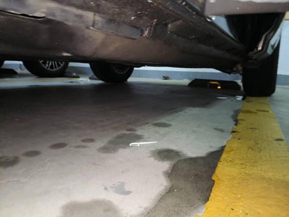 [广州·鄂A] 二手路虎揽胜极光2020款 249PS 青春版