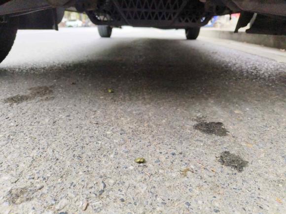 [南昌·赣A] 二手五菱汽车五菱荣光2019款 1.5L 加长基本型