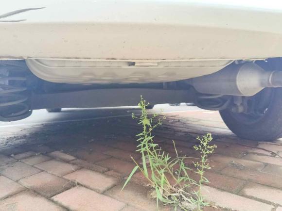 [青岛·鲁B] 二手丰田YARiS L 致炫2015款 1.5E 自动魅动版