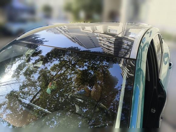 [上海·沪A] 二手奇瑞新能源大蚂蚁2020款 高能pro版