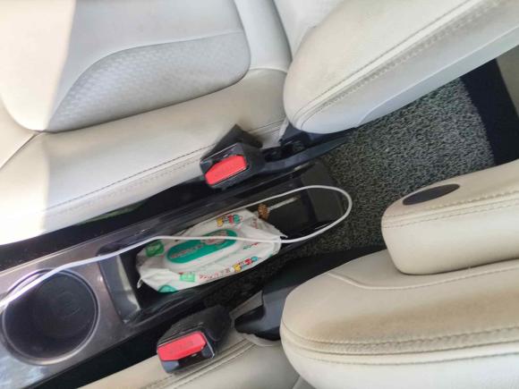 [成都·川A] 二手欧拉欧拉iQ2018款 智联型