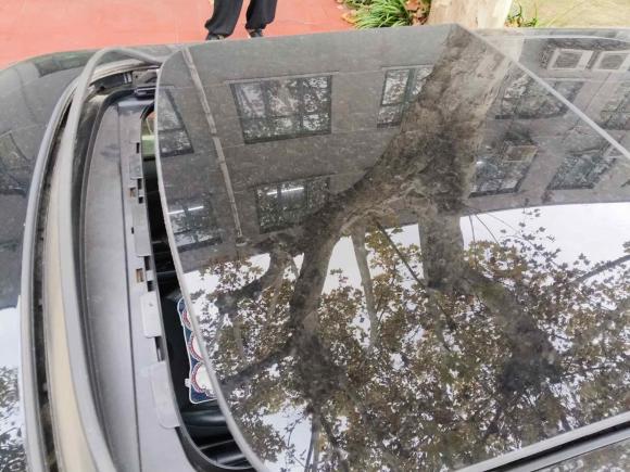 [上海·沪A] 二手MINIMINI2011款 1.6L COOPER Fun