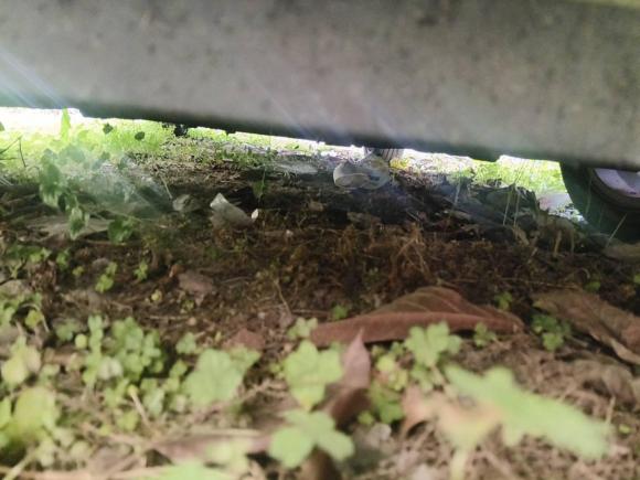 [成都·川A] 二手现代名图2017款 1.8L 自动尊贵型DLX 国V