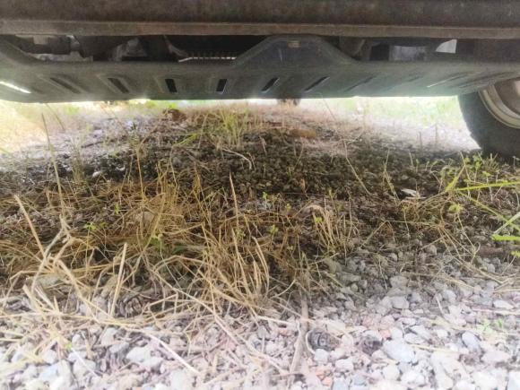 [南京·苏A] 二手五菱汽车五菱荣光V2016款 1.5L标准型