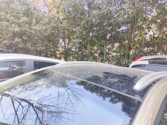 [上海·沪A] 二手吉利汽车帝豪GS2016款 优雅版 1.3T 自动臻尚型