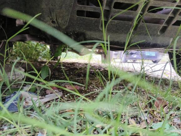 [武汉·鄂A] 二手江汽集团江淮T62020款 2.0T柴油两驱精英型长轴国VI HFC4DB2-2E