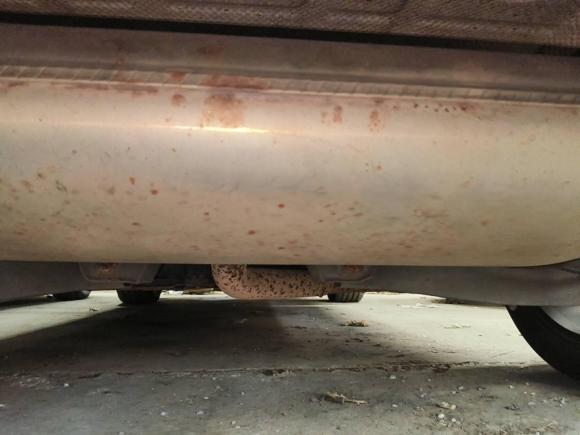 [广州·粤A] 二手荣威荣威RX5新能源2019款 eRX5 50T 互联网超越旗舰版