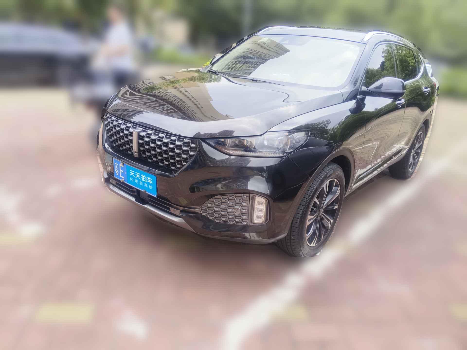 [佛山·粤E] 魏牌魏牌 VV62020款 2.0T 两驱智护+