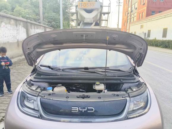 [苏州·苏E] 二手比亚迪海豚2021款 405km 时尚版