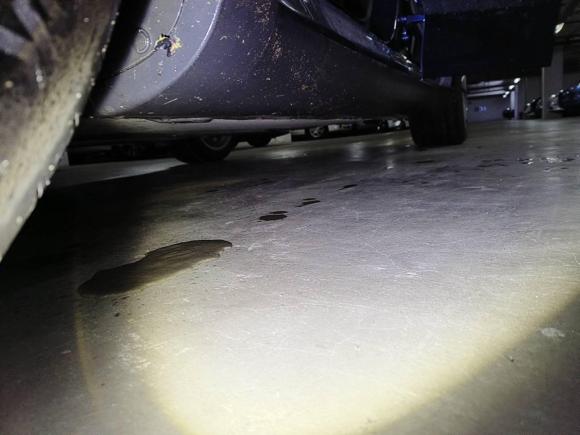 [上海·沪A] 二手特斯拉Model Y2021款 长续航全轮驱动版