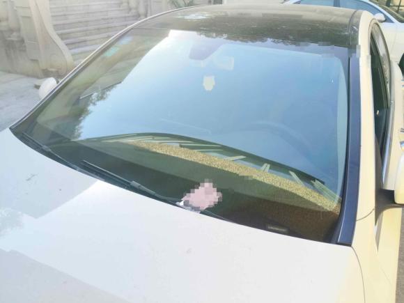 [上海·沪D] 二手奔驰奔驰C级2019款 改款 C 260 L 运动版