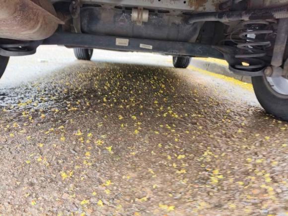 [青岛·鲁B] 二手宝骏宝骏5102017款 1.5L 手动豪华型