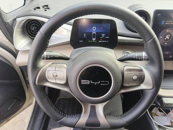 [广州·粤B] 二手比亚迪海豚2023款 420km 自由版