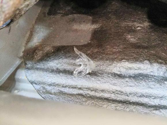 [武汉·鄂A] 二手本田思域2012款 1.8L 自动舒适版