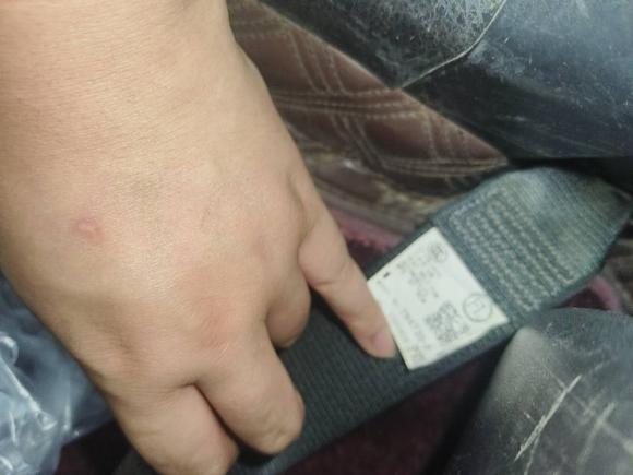 [西安·陕A] 二手丰田卡罗拉双擎E+2019款 1.8L E-CVT豪华版