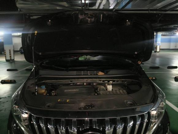 [嘉兴·浙F] 二手广汽传祺传祺M82021款 领秀系列 390T 尊享版