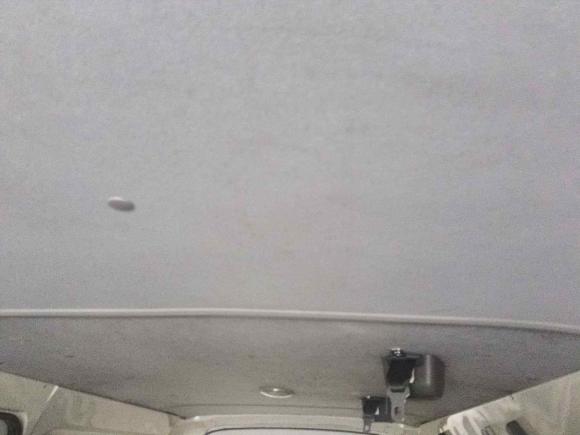 [青岛·鲁B] 二手金龙凯锐浩克2019款 2.2L M1标准型平顶V22