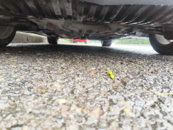 [西安·陕U] 二手奔驰奔驰C级2010款 C 300 旅行版