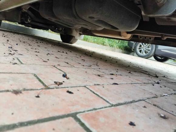 [合肥·皖A] 二手东风风行菱智2019款 V3 1.6L 2座标准型 国VI