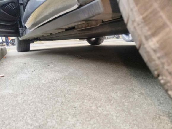 [上海·沪A] 二手比亚迪海豚2023款 420km 时尚版