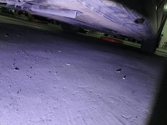 [杭州·浙A] 二手日产轩逸2019款 1.6XV CVT智联尊享版 国VI