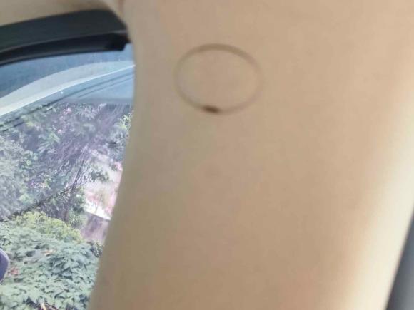 [温州·浙G] 二手长安凌轩2017款 1.6L 手动幸福型