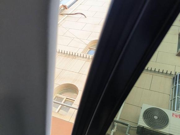 [西安·陕U] 二手大众朗逸2023款 改款 1.5L 自动满逸版