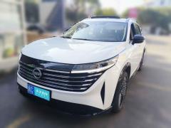 [温州·浙C] 日产探陆2024款 380VC-TURBO 四驱智尊版 6座