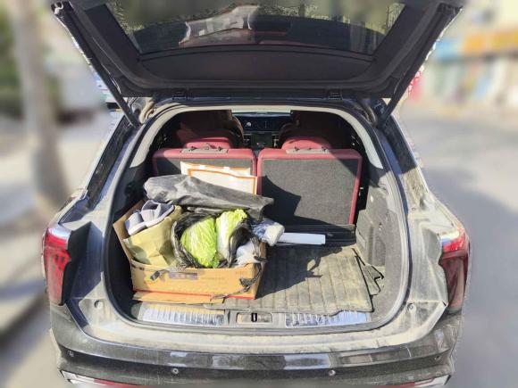 [青岛·鲁B] 二手红旗红旗E-HS92021款 460km 旗享版 六座