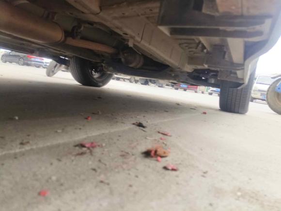 [南昌·赣A] 二手东南东南DX32018款 1.5L 手动尊贵型