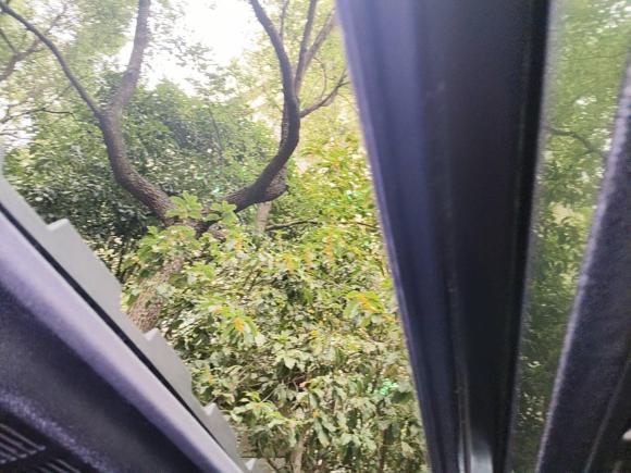 [杭州·浙A] 二手宝马宝马3系2016款 328i M运动型