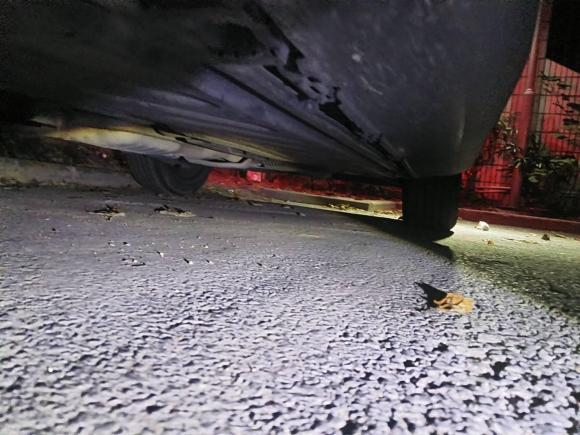 [上海·沪B] 二手奔驰奔驰GLC2018款 改款 GLC 260 4MATIC 动感型