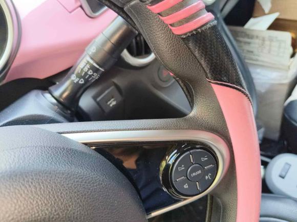 [武汉·鄂A] 二手欧拉欧拉黑猫2019款 351km 灵智版