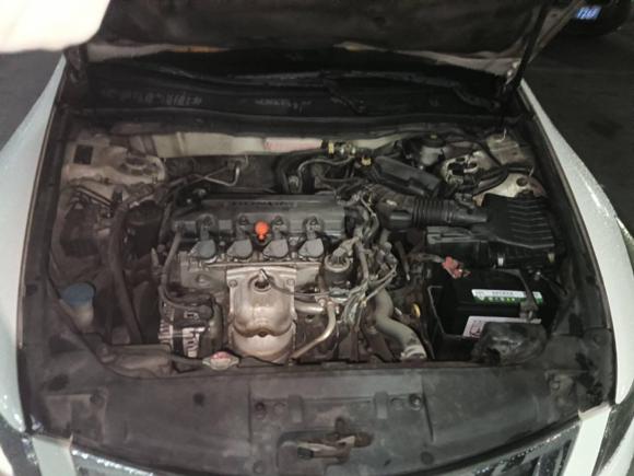 [温州·浙C] 二手本田雅阁2008款 2.0L EX