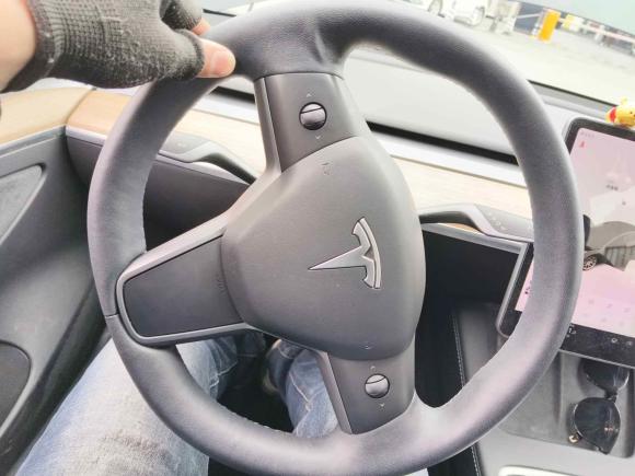 [嘉兴·浙F] 二手特斯拉Model 32021款 标准续航后驱升级版 3D6